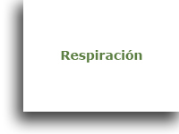 RESPIRACIN